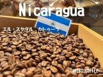 画像1: 【焙煎豆500g】ニカラグア・エル・スヤタル　カトゥーラ (1)